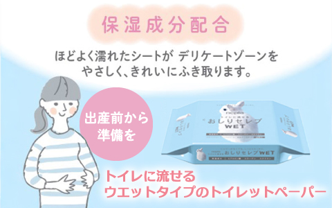 トイレに流せる おしりセレブ WET 詰替
