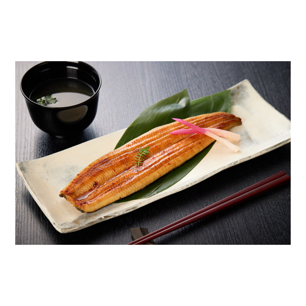 【夏ギフト】 綱正国産うなぎ蒲焼長焼&肝串セット (内祝いギフト) 送料当社負担