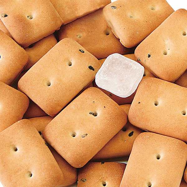 備食缶カンパン 防災ギフト (内祝いギフト)