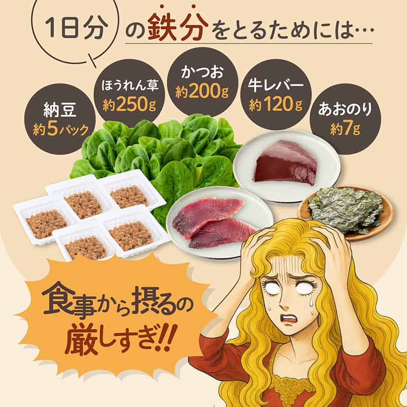 はぐくみ太郎 鉄分きなこ 胃にやさしいサンアクティブFe