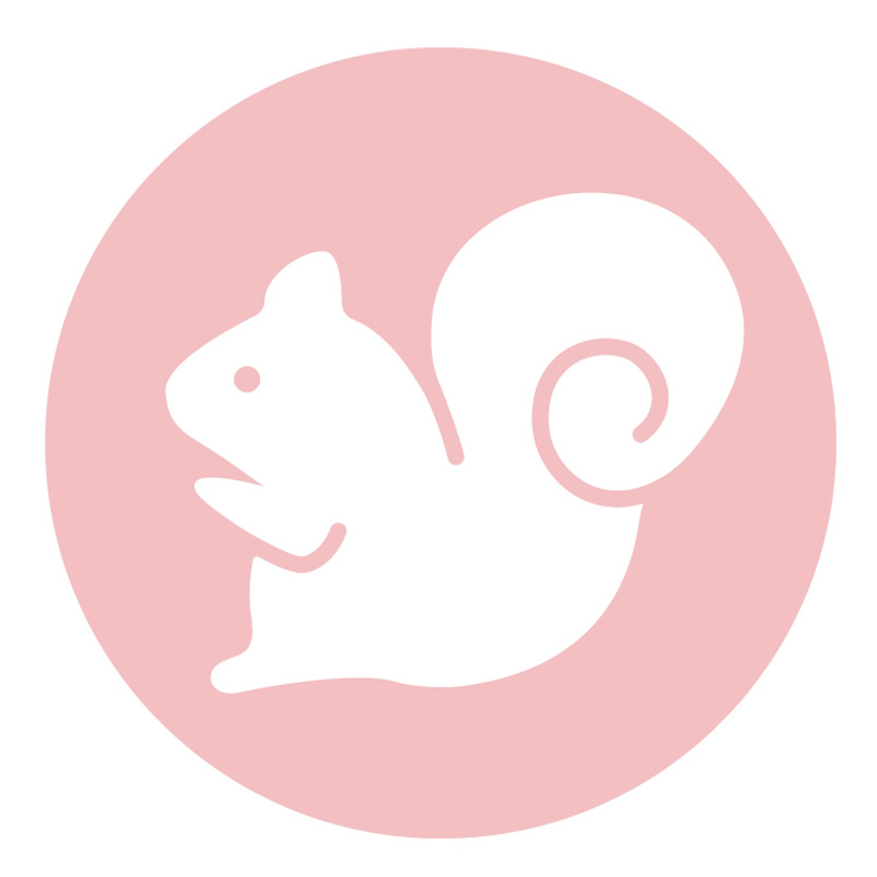 はじめておはし 右手用 りす ピンク ピンク