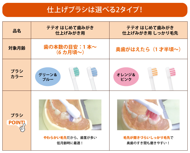 テテオ はじめて歯みがき 仕上げみがき用 しっかり毛先 1歳6ヵ月~
