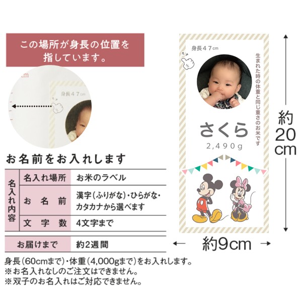 お米場 田心 ディズニー 身長・体重米(写真入り) (内祝いギフト) 送料当社負担