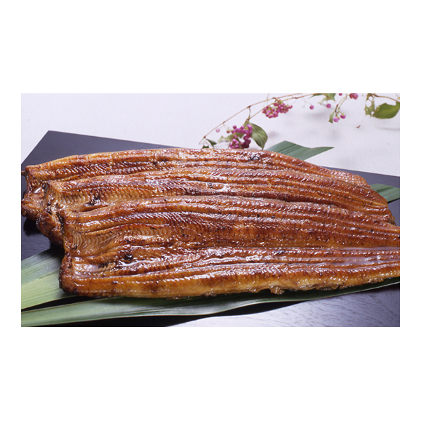 【夏ギフト】 綱正国産うなぎ蒲焼長焼2尾セット (内祝いギフト) 送料当社負担
