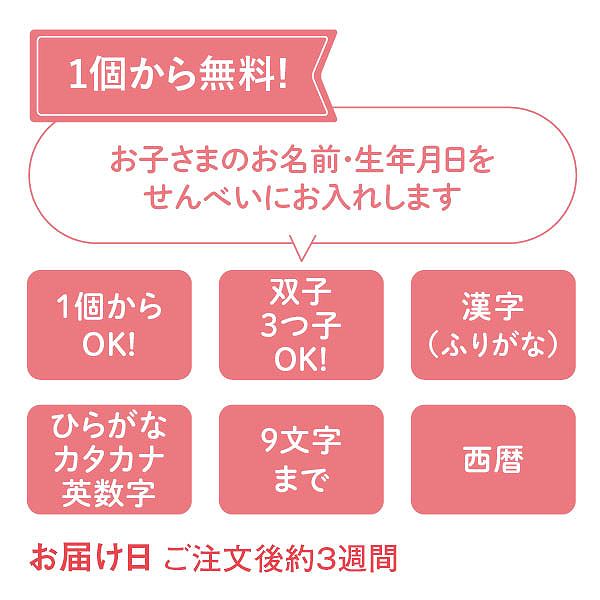 志ま秀 海老あわせ(12袋)(お名入れ)(内祝いギフト)