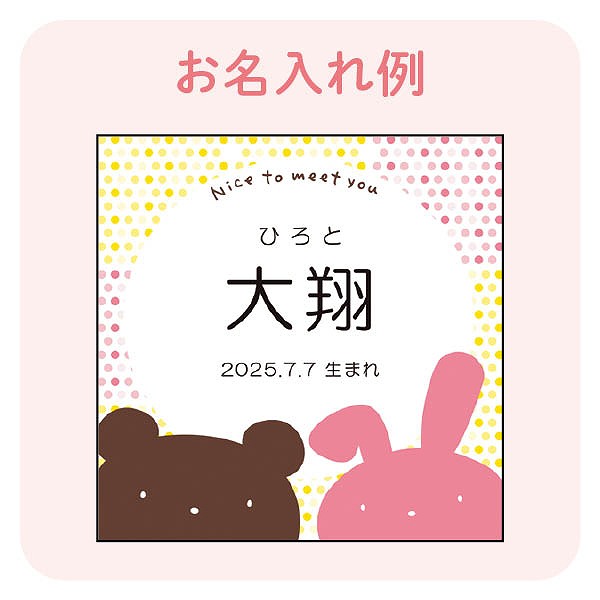 名入れ アニマルドーナツ6個 (内祝いギフト) 送料込み
