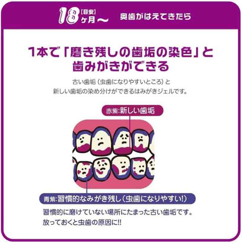 はみがき先生 2色染め はみがきジェル