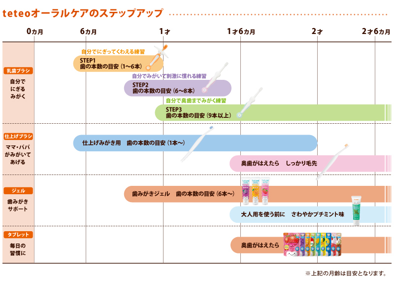 テテオ はじめて歯みがき 仕上げみがき用 しっかり毛先 1歳6ヵ月~