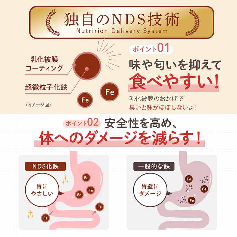 はぐくみ太郎 鉄分きなこ 胃にやさしいサンアクティブFe