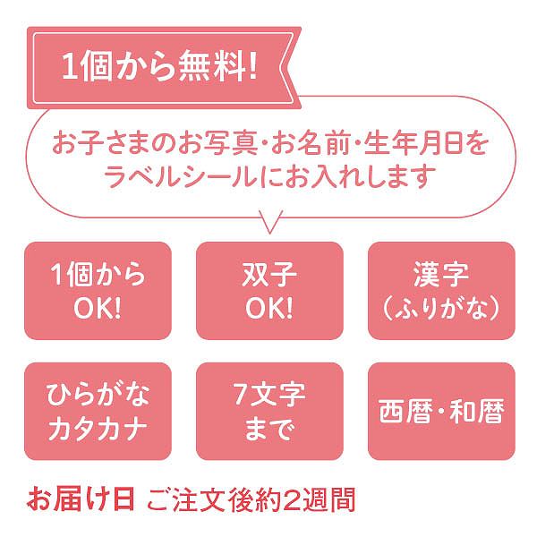 ハリーズレシピ タルト・焼き菓子セット SHHR50S(お名入れ)(内祝いギフト) 送料当社負担