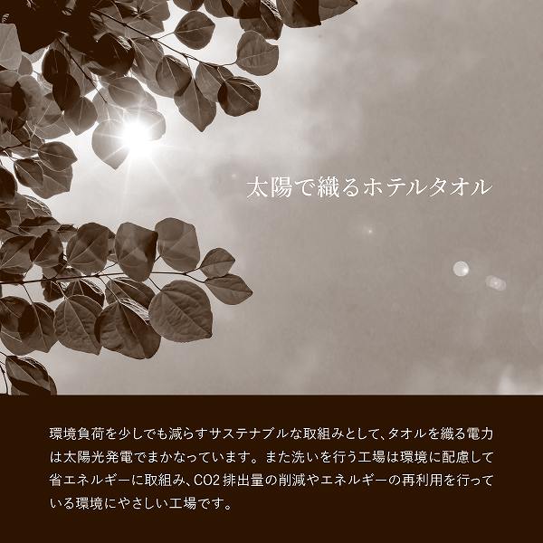 サステナブル THE HOTEL ホテル仕様フェイスタオル 65422(内祝いギフト)