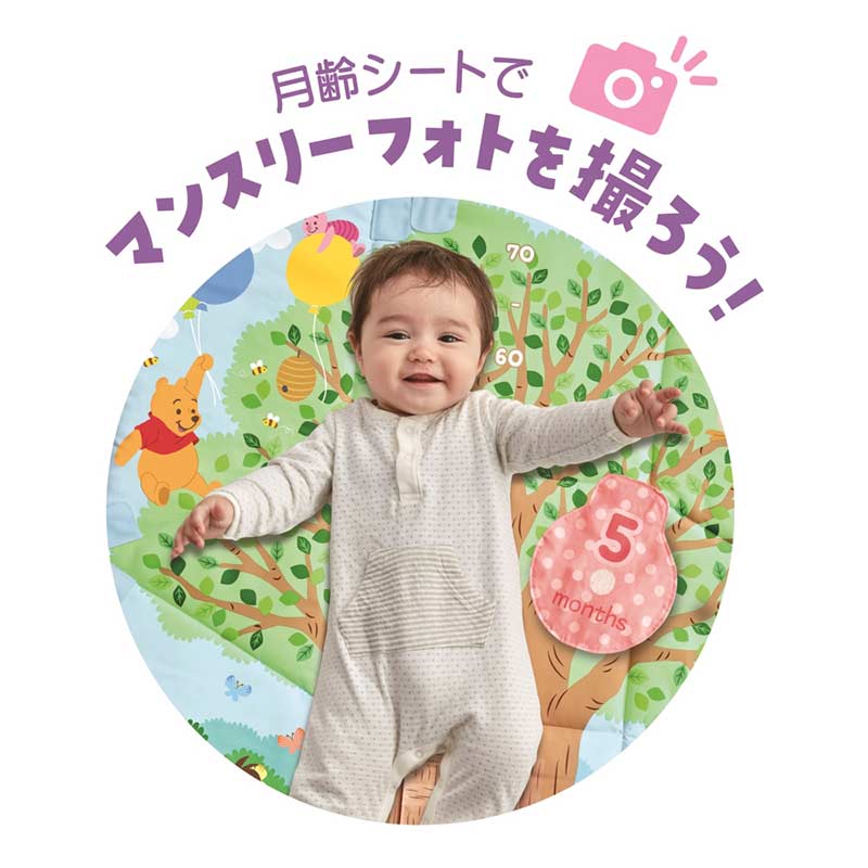 てあそびいっぱい!おうちにへんしんジム くまのプーさん