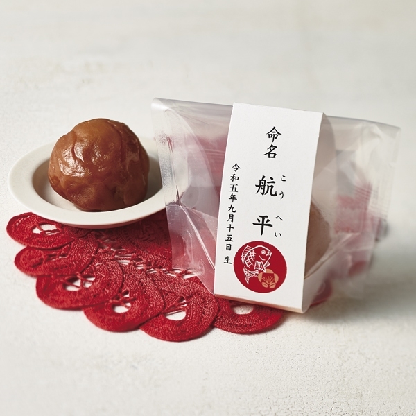 名入れ 「岩谷」紀州 梅真鯛梅(十個入) IW-50 (内祝いギフト) 送料当社負担