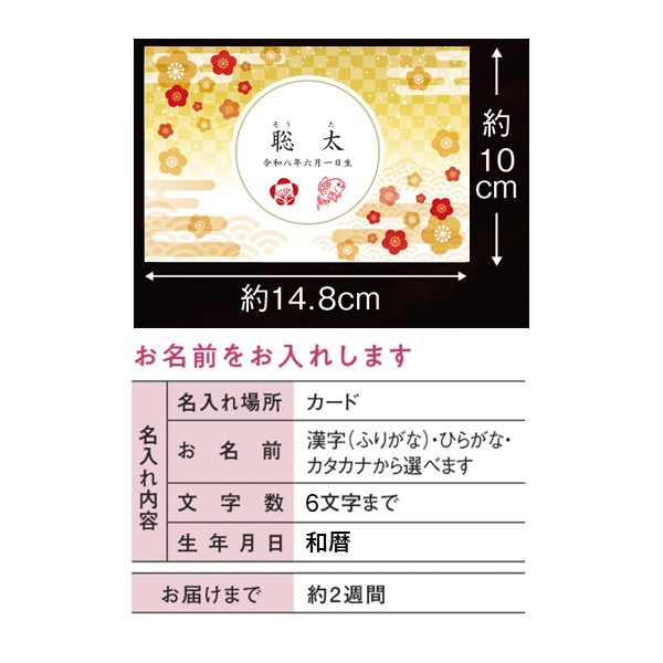 名入れ 岩谷 山海うめ 詰合せ (内祝いギフト) アカチャンホンポ限定