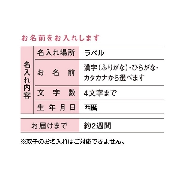 名入れ お米場 田心 選び取り一升米(顔写真なし・リュック付)リーフ (お祝いギフト) 送料当社負担 アカチャンホンポ限定