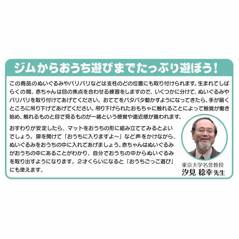 てあそびいっぱい!おうちにへんしんジム くまのプーさん