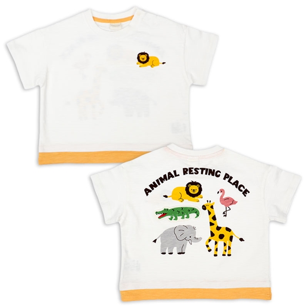 【SALE】[ベビー]半袖　Ｔシャツ　バックプリント　オフホワイト オフホワイト 70cm