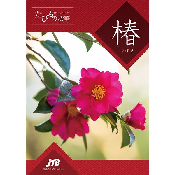 たびもの撰華【椿】 (内祝いギフト) 送料当社負担