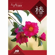 たびもの撰華【椿】 (内祝いギフト) 送料当社負担