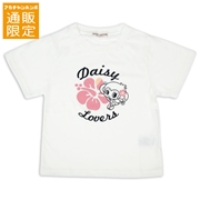 【SALE】【通販限定】[ジュニア]半袖Ｔシャツ　ＤＡＩＳＹ　ＬＯＶＥＲＳ(デイジーラバーズ）　オフホワイト