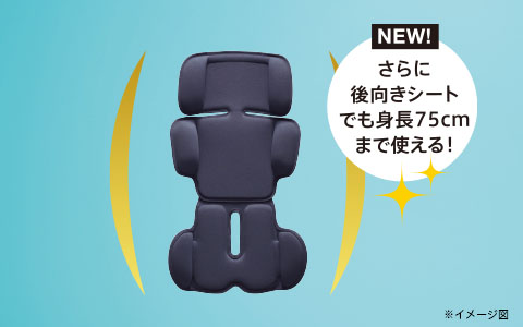 全身マモールクッション