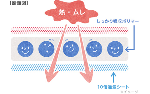 熱・ムレを逃がすしくみの断面図