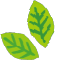 葉っぱ