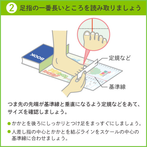2.足指の一番長いところを読み取りましょう