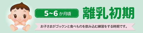 5～6ヵ月頃 離乳初期