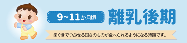 ９～１１ヵ月頃 離乳後期