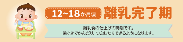 １２～１８ヵ月頃 離乳完了期