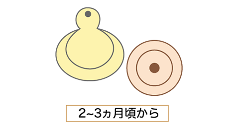 丸穴タイプ（Mサイズ）