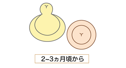 Y字カット