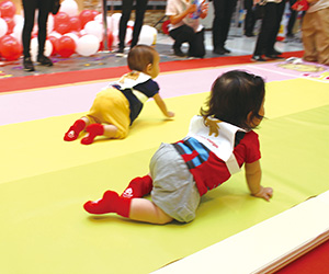 ハイハイレース